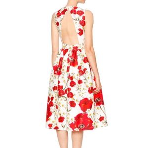 Dolce & Gabbana Poppy and Daisy Dress